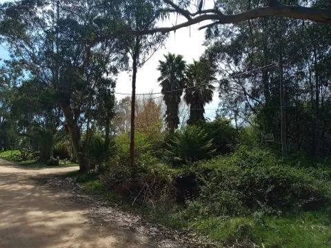 VENTA DE TERRENO ARBOLADO EN EL TESORO 1879 M2