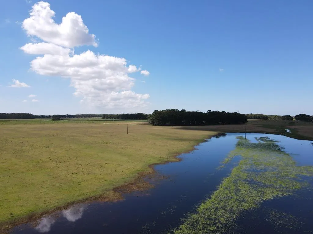 VENTA DE CAMPO AGRÍCOLA GANADERO EN VENTA ROCHA — foto 1
