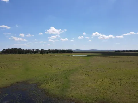 VENTA DE CAMPO AGRÍCOLA GANADERO EN VENTA ROCHA — foto 2