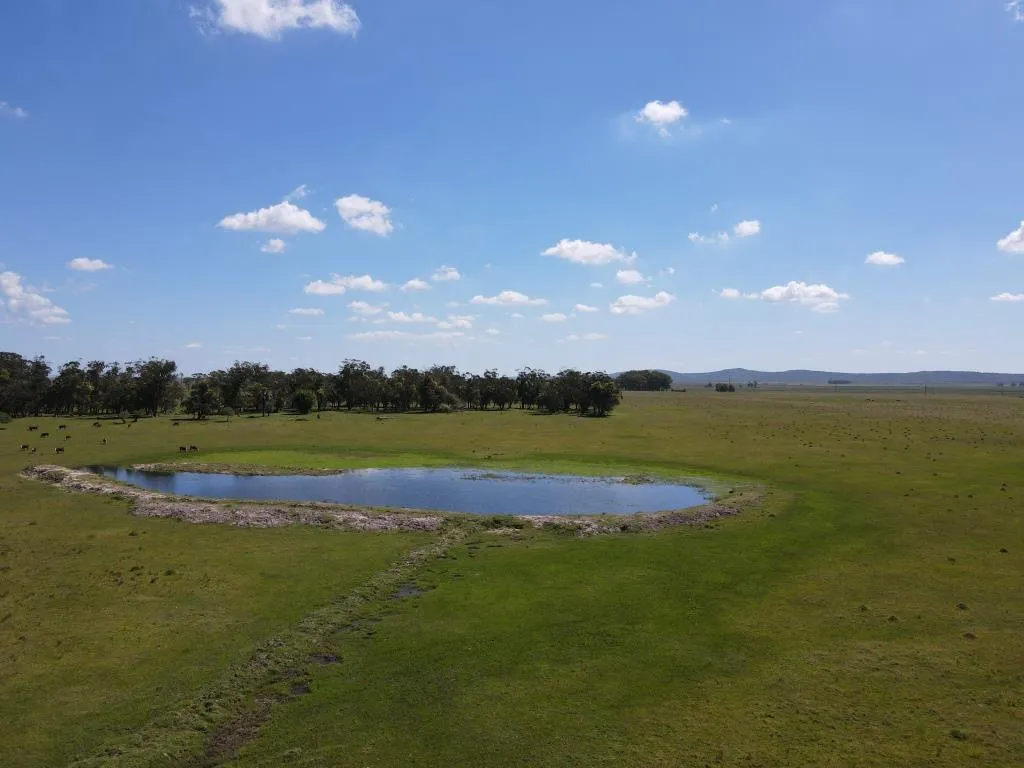 VENTA DE CAMPO AGRÍCOLA GANADERO EN VENTA ROCHA — foto 3
