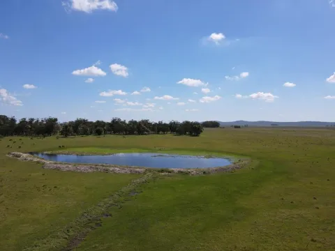 VENTA DE CAMPO AGRÍCOLA GANADERO EN VENTA ROCHA — foto 3