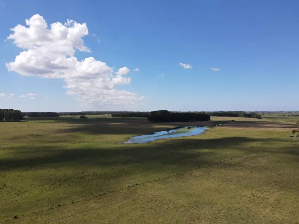 VENTA DE CAMPO AGRÍCOLA GANADERO EN VENTA ROCHA — foto 4