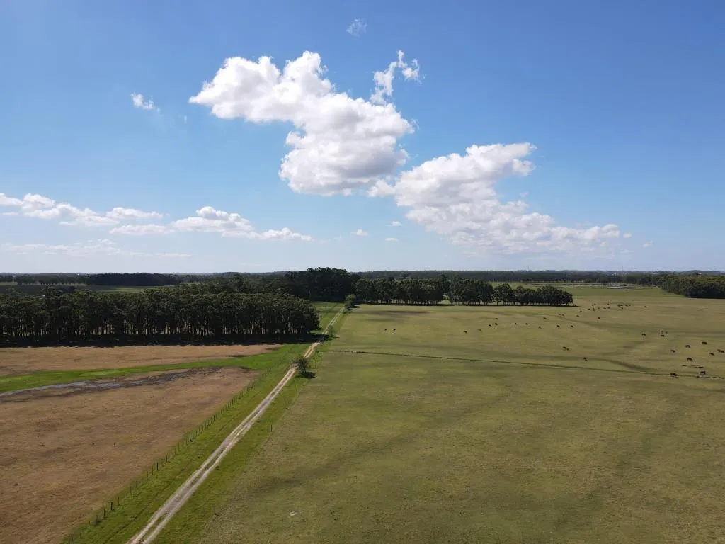 VENTA DE CAMPO AGRÍCOLA GANADERO EN VENTA ROCHA — foto 5