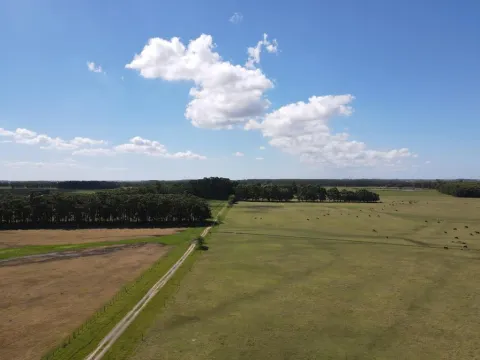 VENTA DE CAMPO AGRÍCOLA GANADERO EN VENTA ROCHA — foto 5
