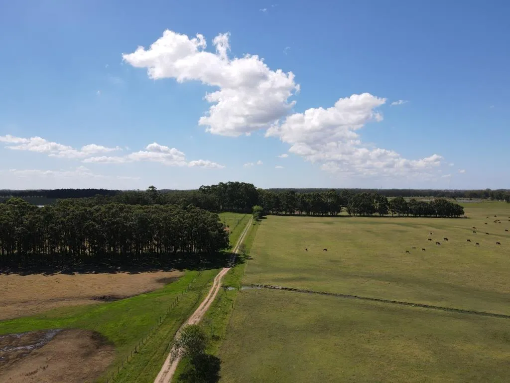 VENTA DE CAMPO AGRÍCOLA GANADERO EN VENTA ROCHA — foto 6