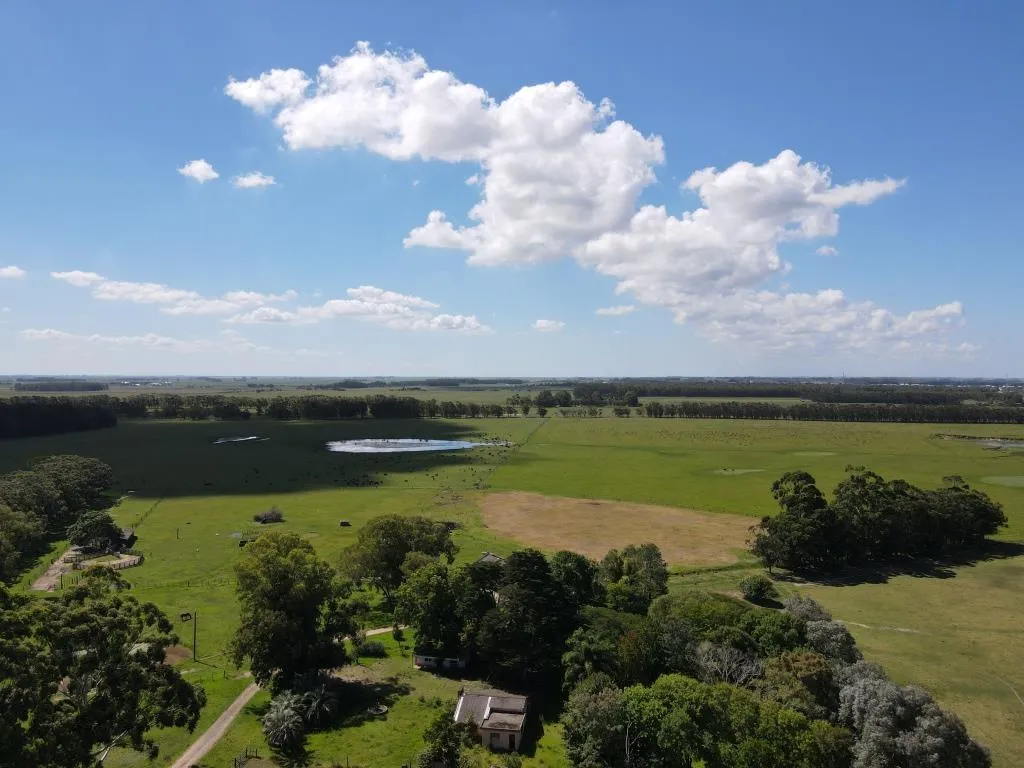 VENTA DE CAMPO AGRÍCOLA GANADERO EN VENTA ROCHA — foto 7