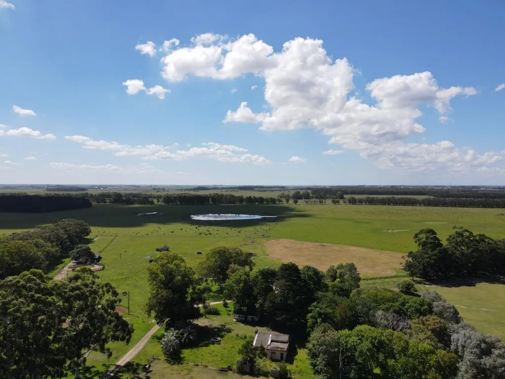 VENTA DE CAMPO AGRÍCOLA GANADERO EN VENTA ROCHA — foto 8