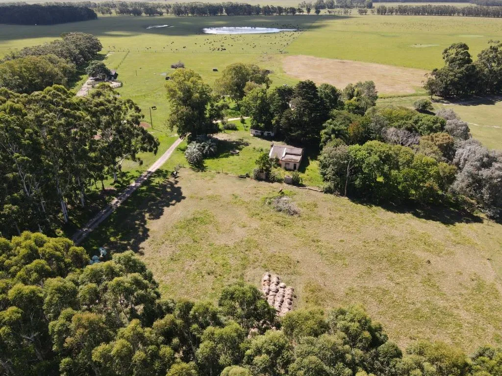 VENTA DE CAMPO AGRÍCOLA GANADERO EN VENTA ROCHA — foto 9