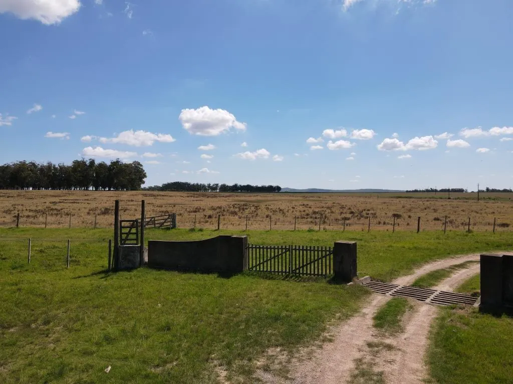 VENTA DE CAMPO AGRÍCOLA GANADERO EN VENTA ROCHA — foto 10