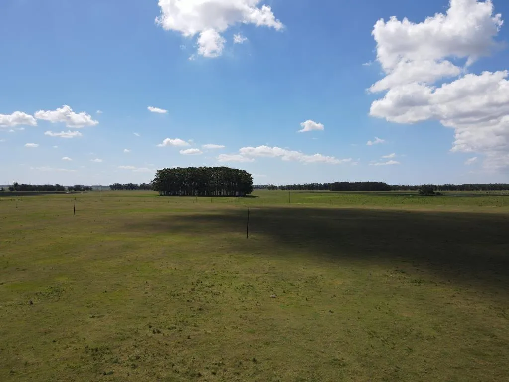 VENTA DE CAMPO AGRÍCOLA GANADERO EN VENTA ROCHA — foto 11