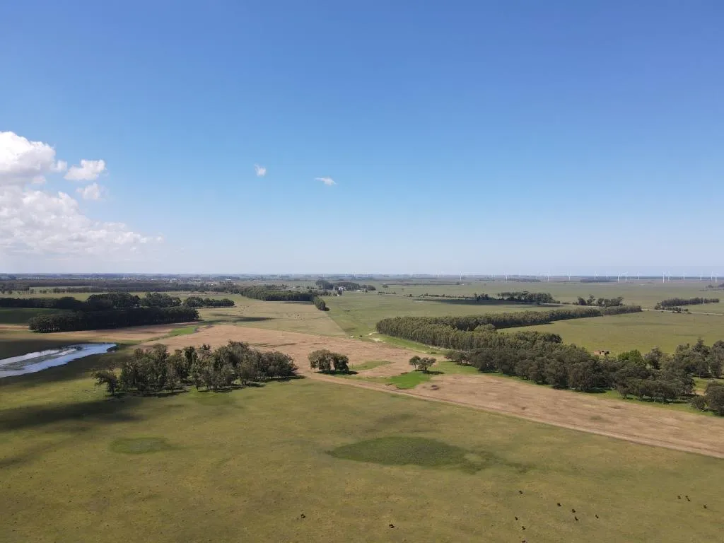 VENTA DE CAMPO AGRÍCOLA GANADERO EN VENTA ROCHA — foto 13
