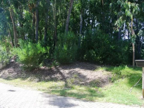 Venta lote Design Village - Punta Ballena — foto 2