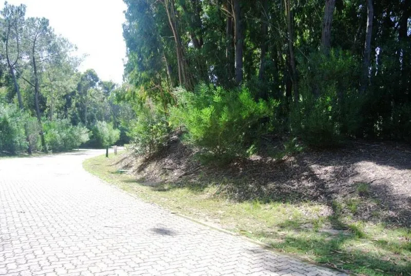 Venta lote Design Village - Punta Ballena — foto 3