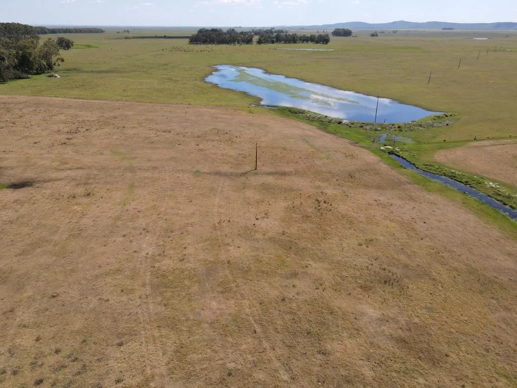 VENTA DE CAMPO AGRÍCOLA GANADERO EN VENTA ROCHA — foto 14