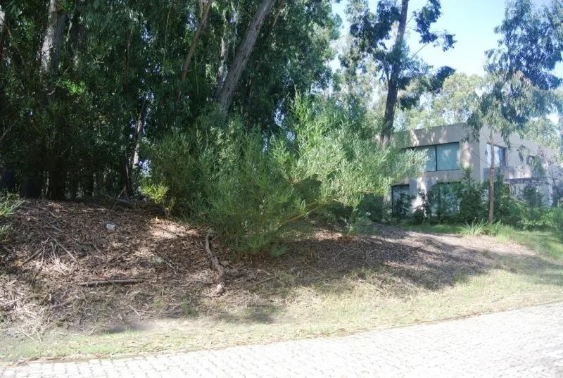Venta lote Design Village - Punta Ballena — foto 4