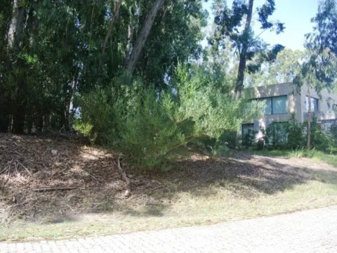 Venta lote Design Village - Punta Ballena — foto 4