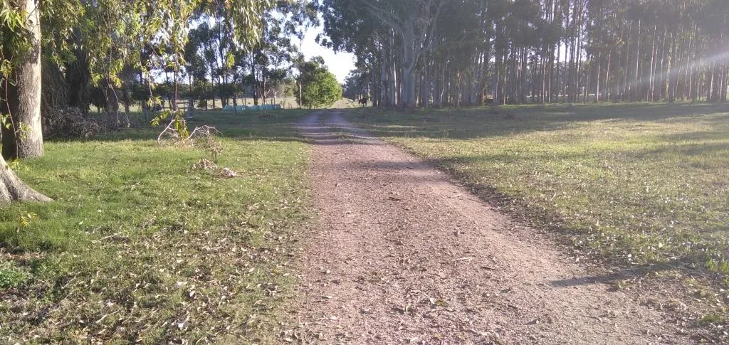 VENTA DE CAMPO AGRÍCOLA GANADERO EN VENTA ROCHA — foto 15