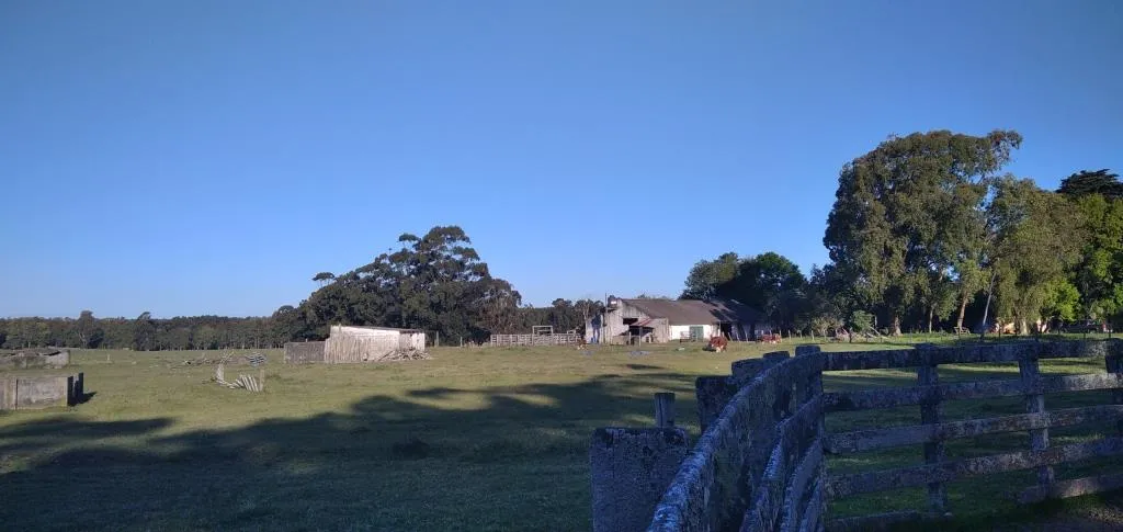 VENTA DE CAMPO AGRÍCOLA GANADERO EN VENTA ROCHA — foto 17