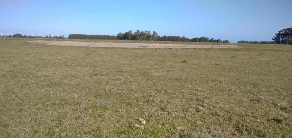 VENTA DE CAMPO AGRÍCOLA GANADERO EN VENTA ROCHA — foto 20