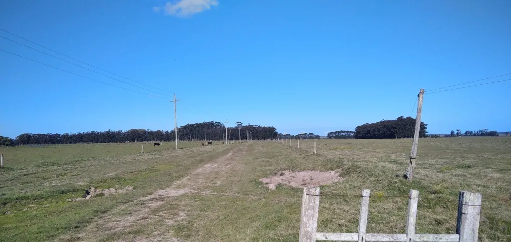 VENTA DE CAMPO AGRÍCOLA GANADERO EN VENTA ROCHA — foto 21