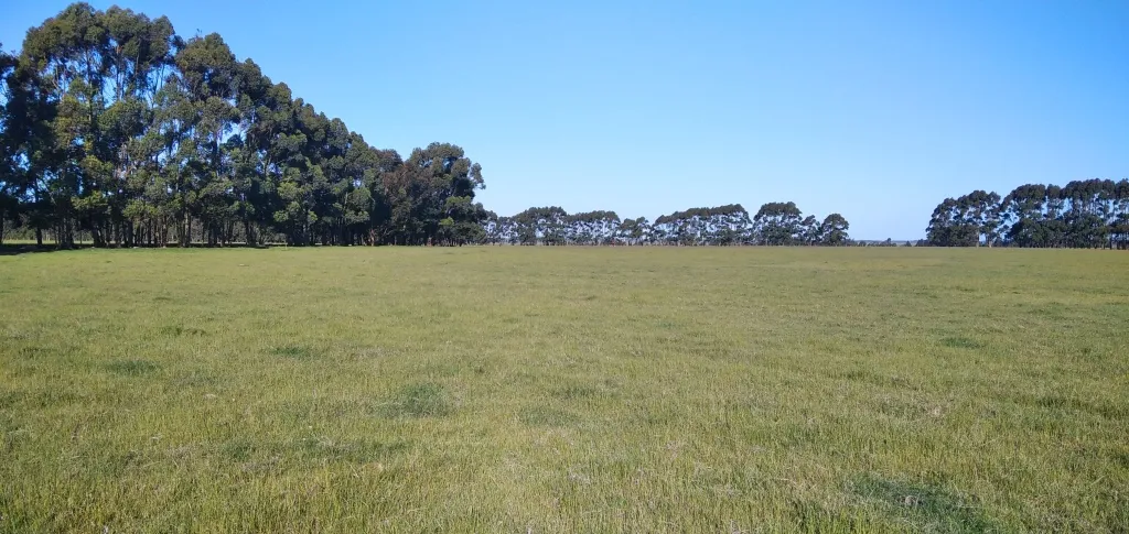 VENTA DE CAMPO AGRÍCOLA GANADERO EN VENTA ROCHA — foto 23