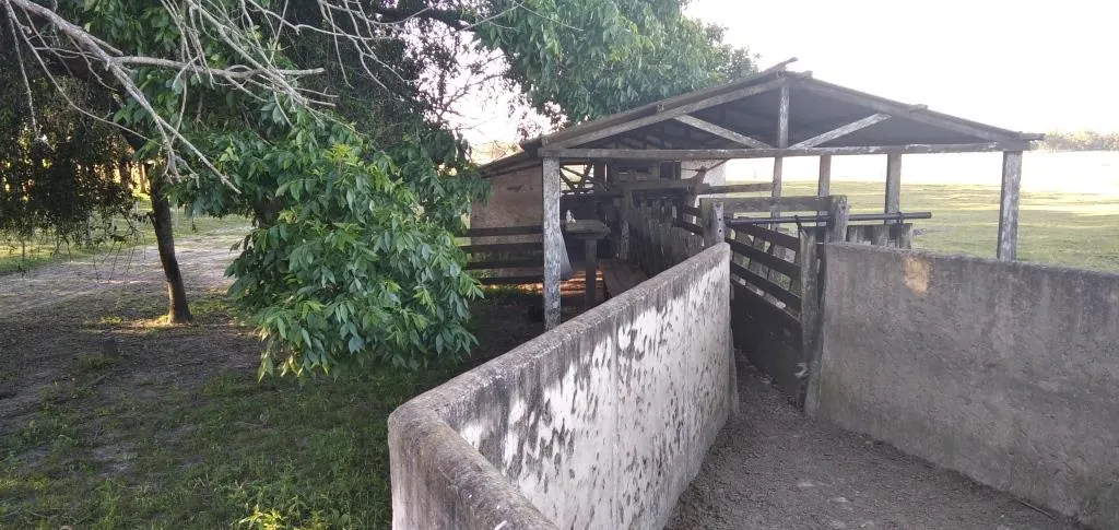 VENTA DE CAMPO AGRÍCOLA GANADERO EN VENTA ROCHA — foto 24