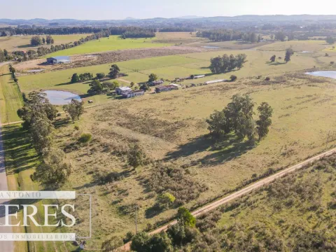 VENTA Chacra de casi 24 hectáreas al Sur de Ruta 9, La Barra