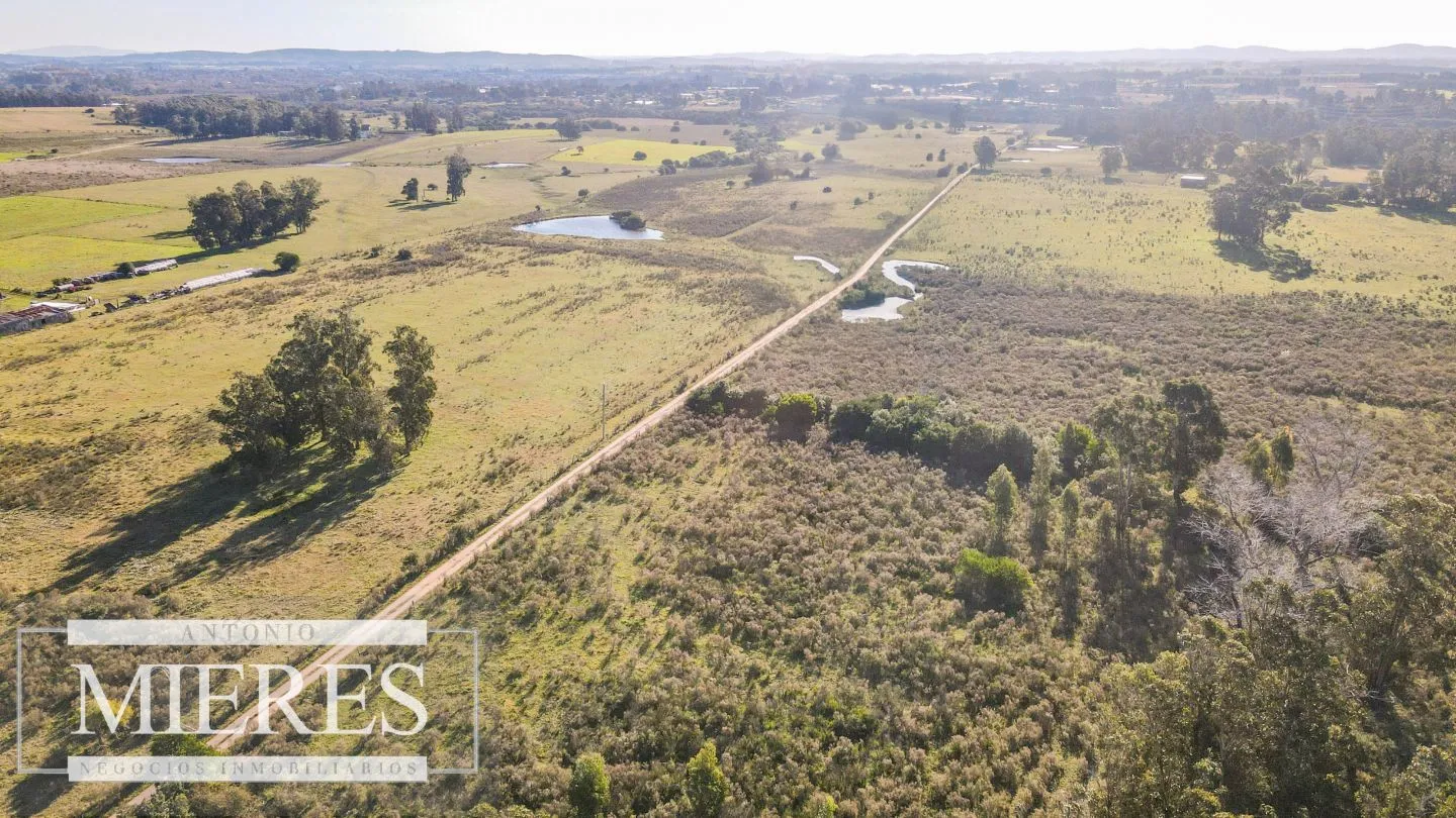 VENTA Chacra de casi 24 hectáreas al Sur de Ruta 9, La Barra — foto 4