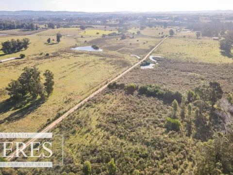 VENTA Chacra de casi 24 hectáreas al Sur de Ruta 9, La Barra — foto 4
