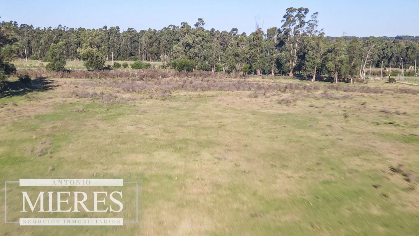 VENTA Chacra de casi 24 hectáreas al Sur de Ruta 9, La Barra — foto 8