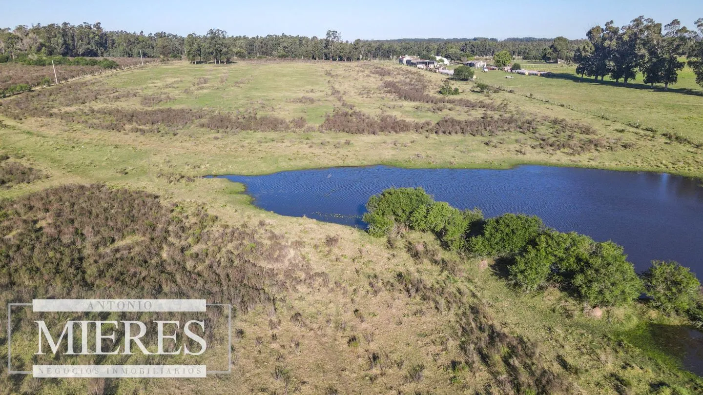 VENTA Chacra de casi 24 hectáreas al Sur de Ruta 9, La Barra — foto 9