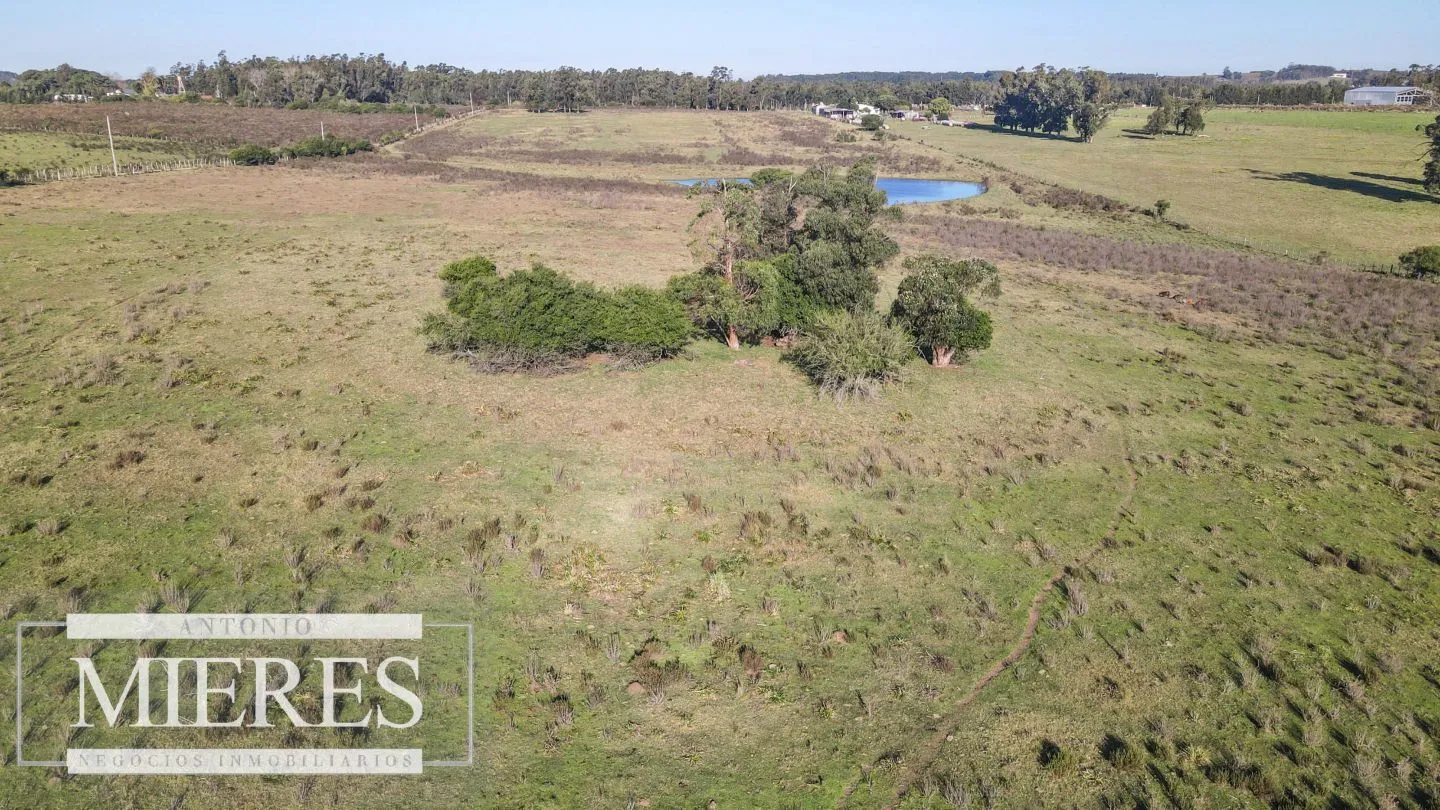 VENTA Chacra de casi 24 hectáreas al Sur de Ruta 9, La Barra — foto 10