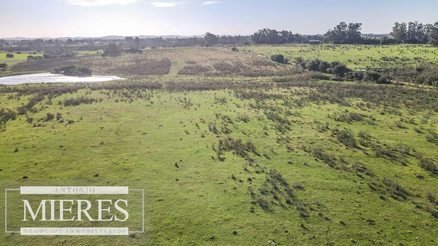 VENTA Chacra de casi 24 hectáreas al Sur de Ruta 9, La Barra — foto 11