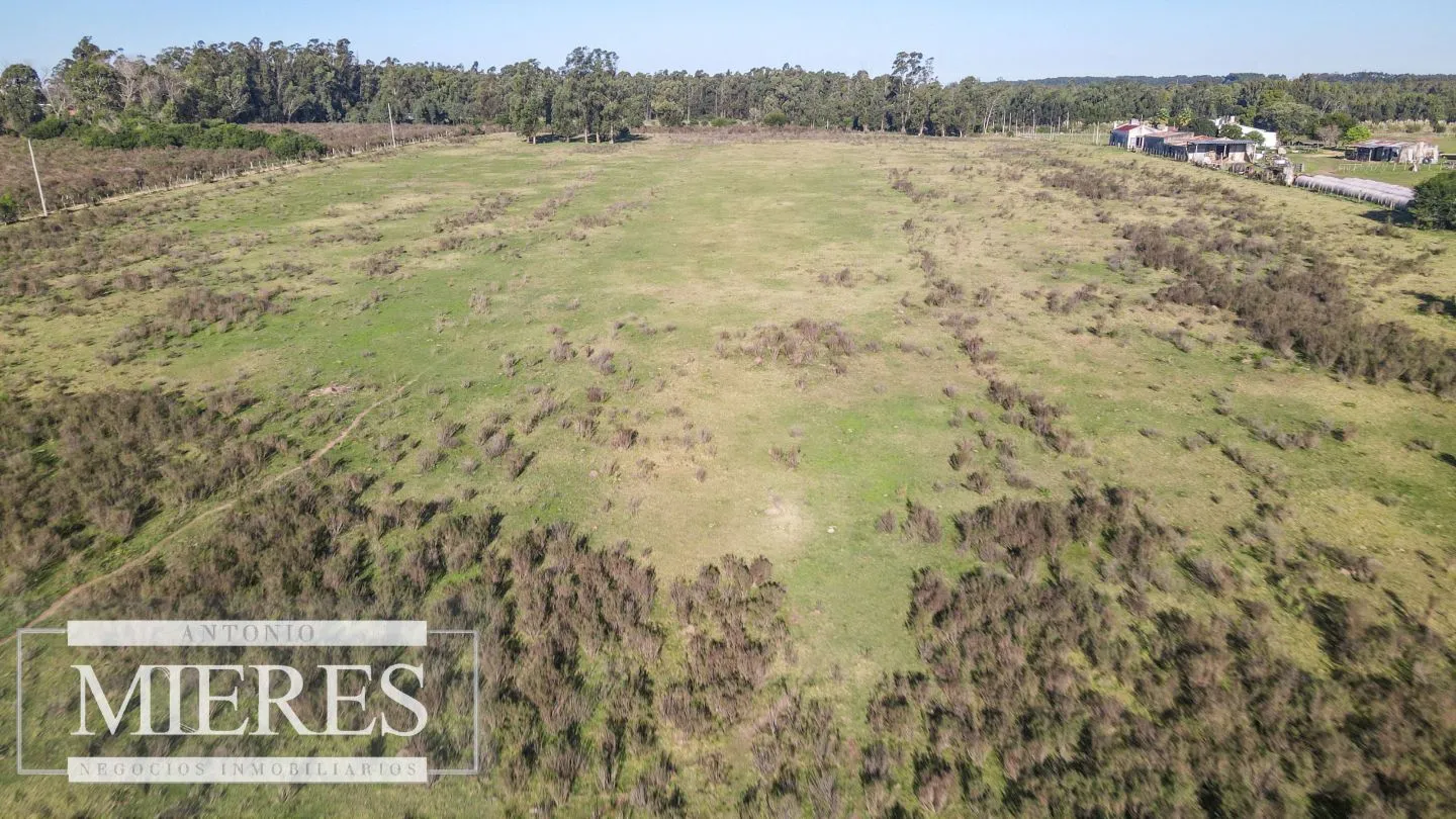 VENTA Chacra de casi 24 hectáreas al Sur de Ruta 9, La Barra — foto 14