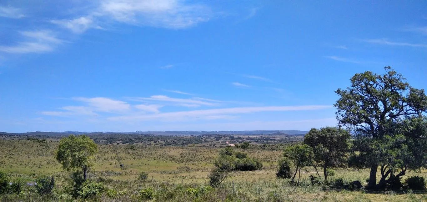 Campo ganadero, criador, Aigua — foto 1