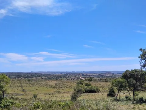 Campo ganadero, criador, Aigua