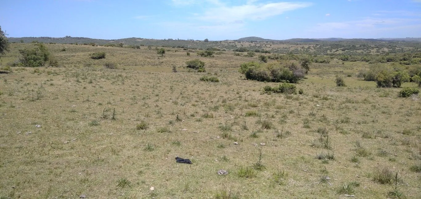 Campo ganadero, criador, Aigua — foto 2