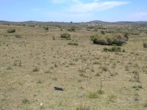 Campo ganadero, criador, Aigua — foto 2