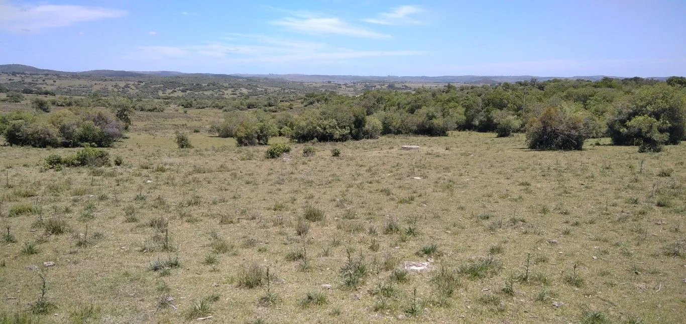 Campo ganadero, criador, Aigua — foto 3