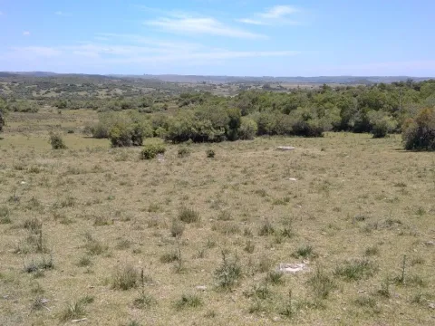 Campo ganadero, criador, Aigua — foto 3