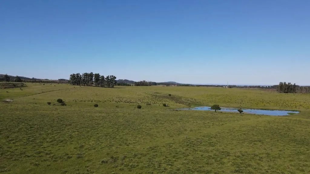 Chacra / Campo 37 ha en Maldonado — foto 4