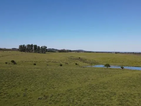 Chacra / Campo 37 ha en Maldonado — foto 4