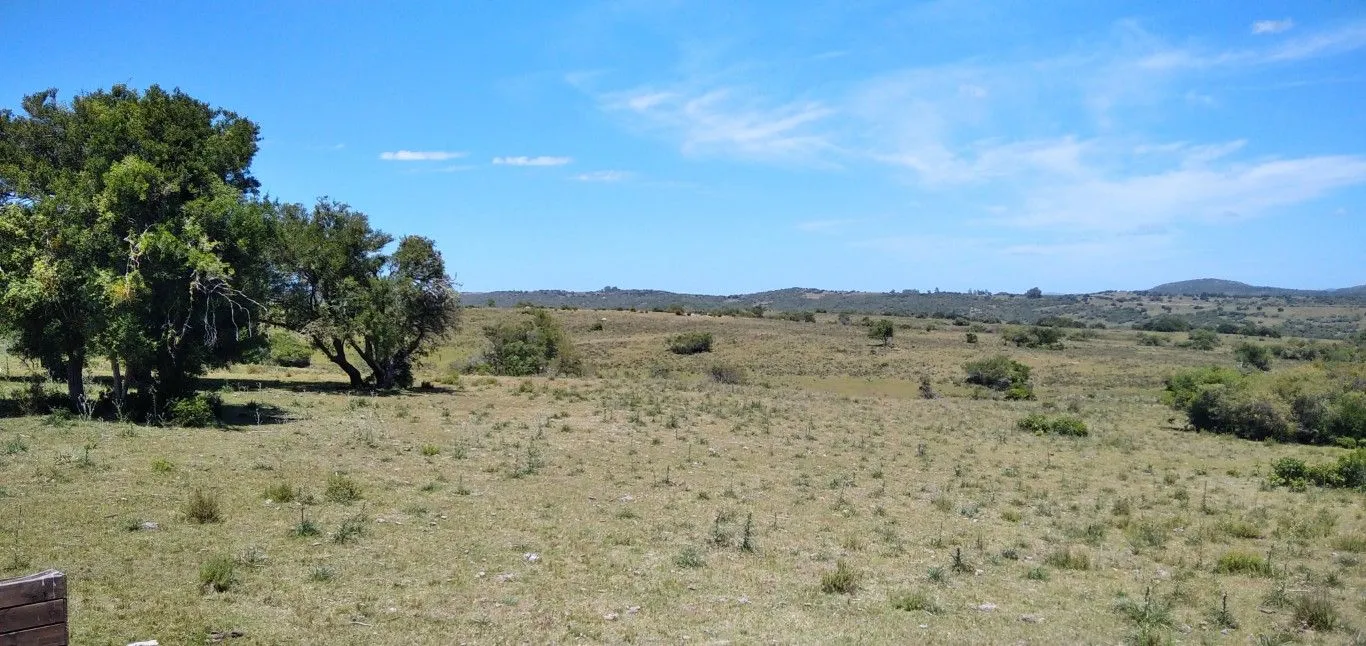 Campo ganadero, criador, Aigua — foto 4