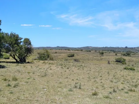 Campo ganadero, criador, Aigua — foto 4