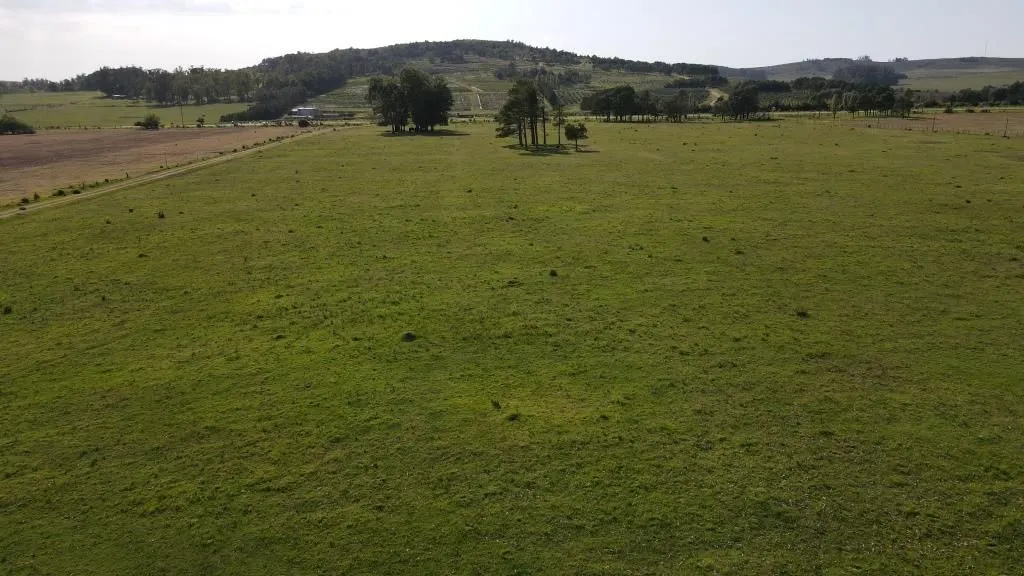 Chacra / Campo 37 ha en Maldonado — foto 5