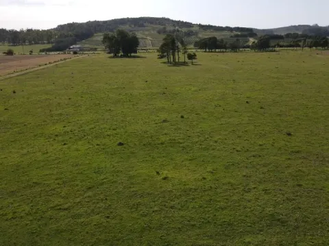 Chacra / Campo 37 ha en Maldonado — foto 5