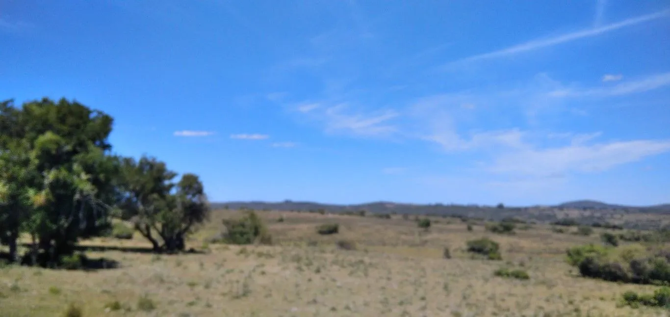 Campo ganadero, criador, Aigua — foto 5