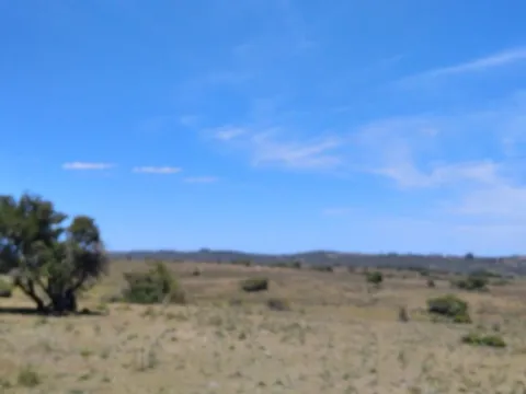 Campo ganadero, criador, Aigua — foto 5