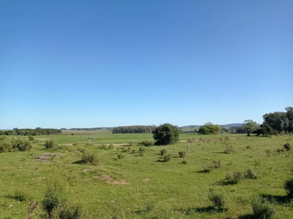 Chacra / Campo 37 ha en Maldonado — foto 6