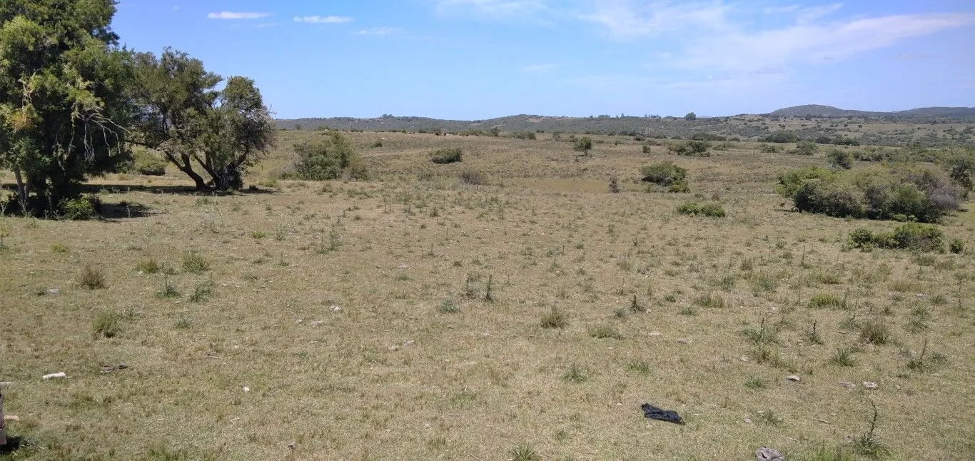 Campo ganadero, criador, Aigua — foto 6